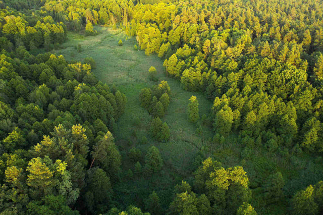 crm energy companies