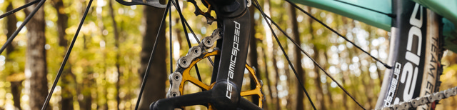 case study CeramicSpeed Microsoft Dynamics