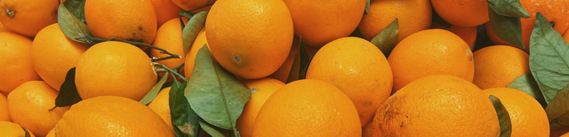 case study textil olius thingworx